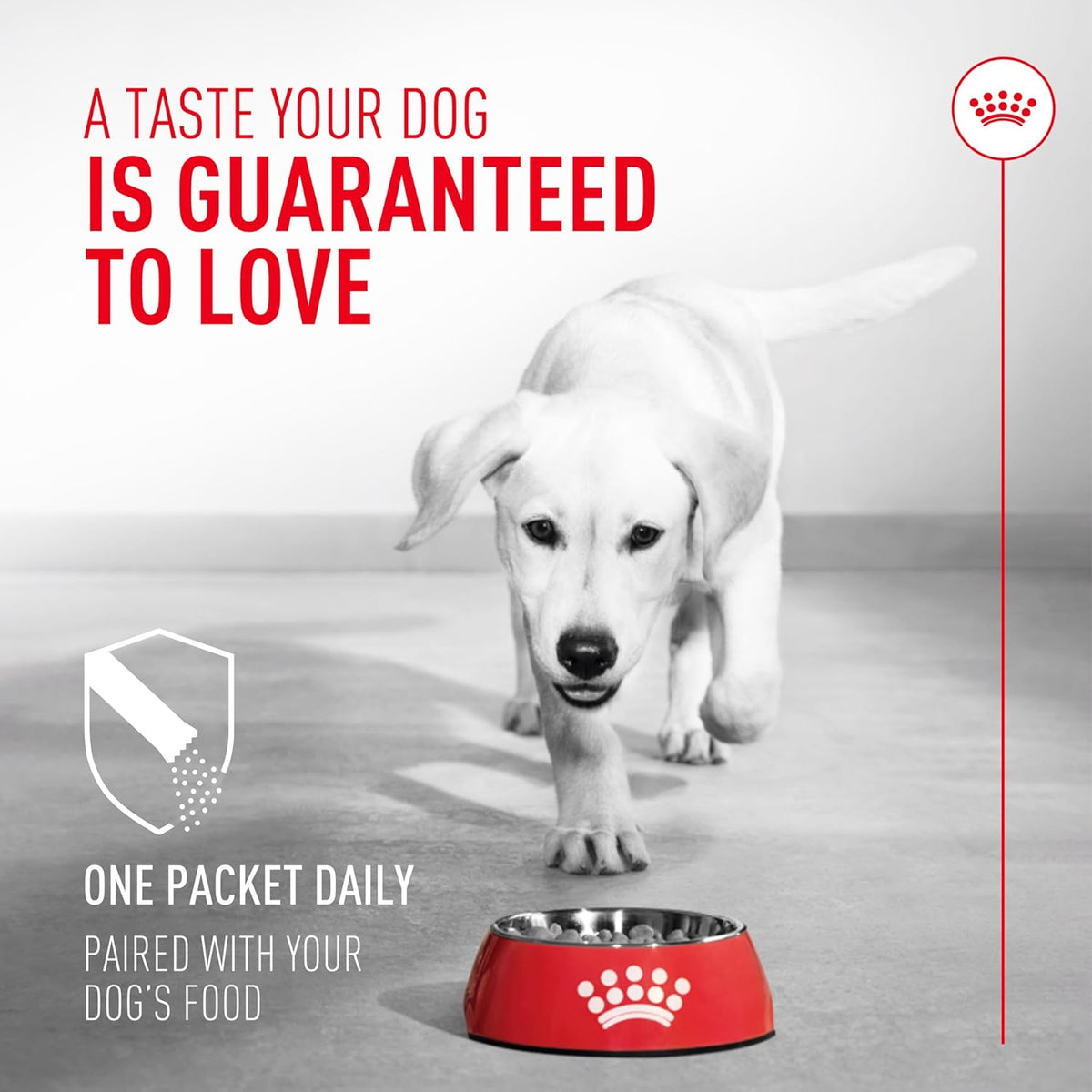 Royal Canin Probiotics for Dogs Digestive and Immune Health Powder Supplement for Dogs of All Ages, 7 Count - görsel 4