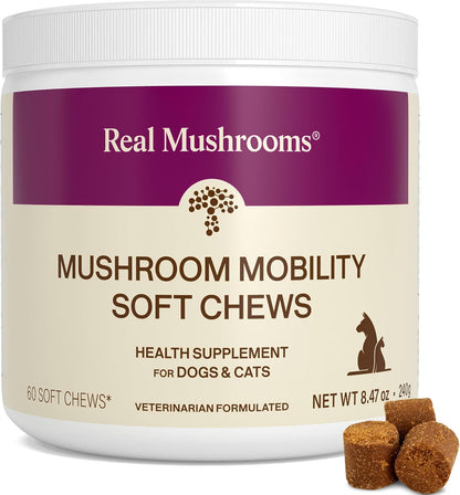 Real Mushroom Immune Pet Chews - Daily Digestive & Immune Health for Dogs and Cats - 60 Count