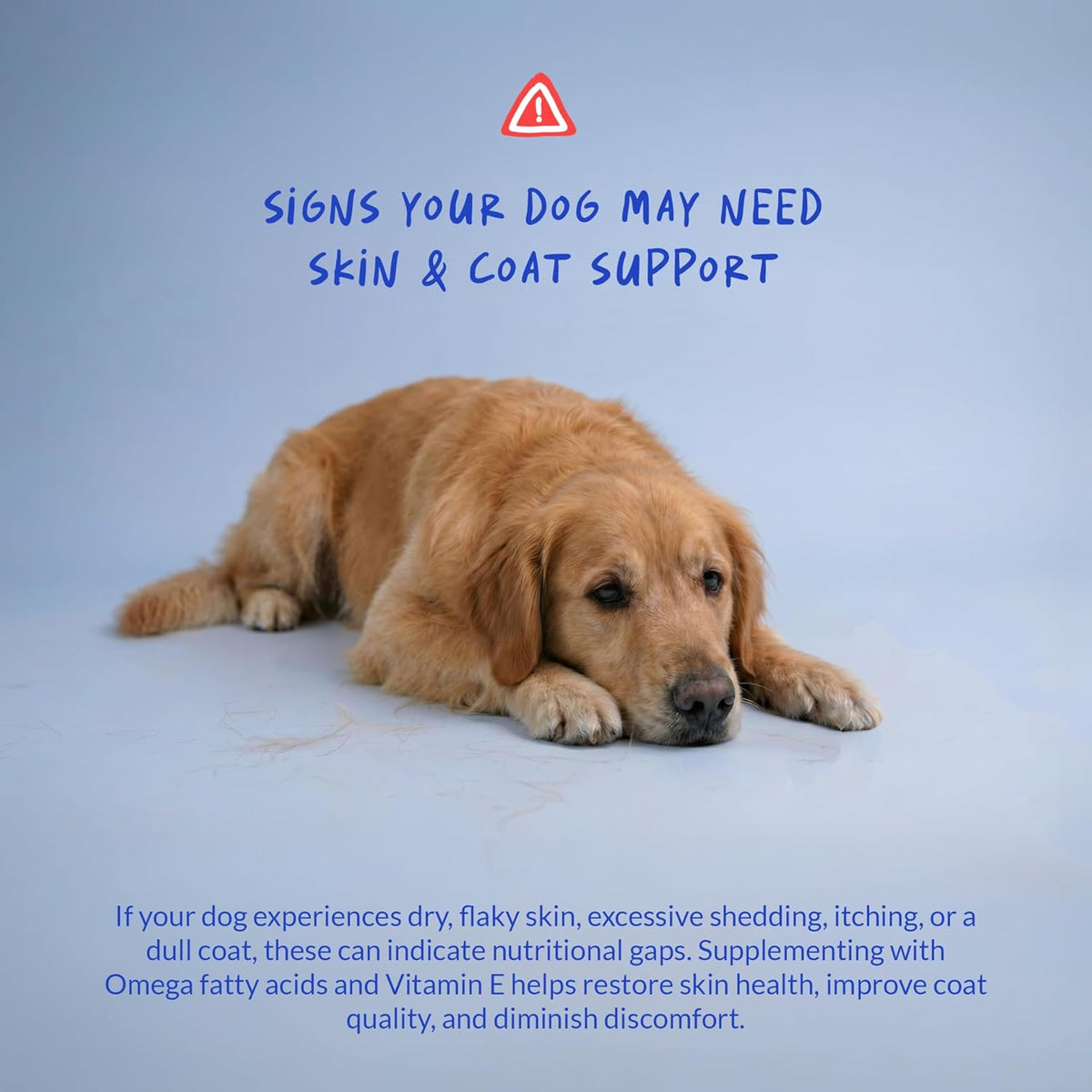 Omega 3 Fish Oil for Dogs 120 Tablets - Skin, Coat and Joint Support - görsel 4
