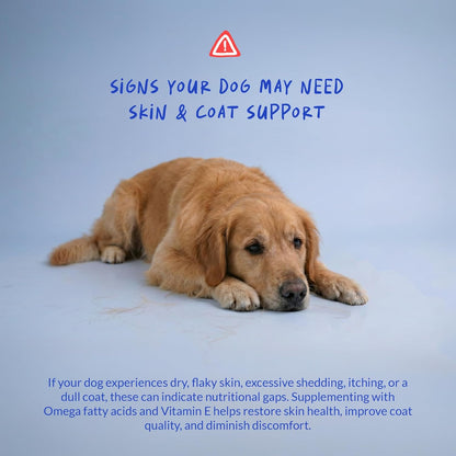 Omega 3 Fish Oil for Dogs 120 Tablets - Skin, Coat and Joint Support