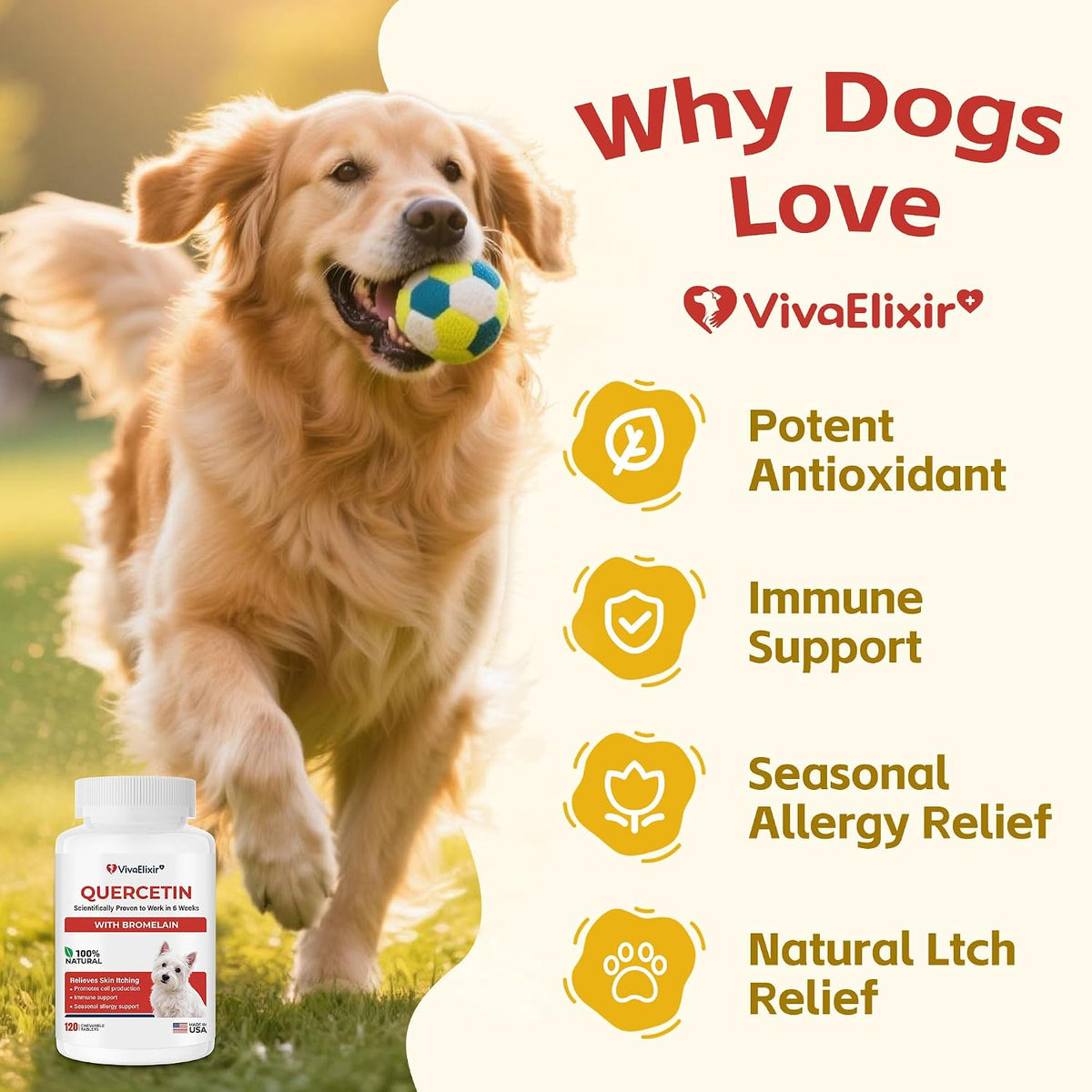 Quercetin & Bromelain Tablets for Dogs – for Skin Allergies, Atopic Dermatitis, Ear Infections & Joint Stiffness – Immune & Anti-Inflammatory Support – Vet-Formulated - görsel 2