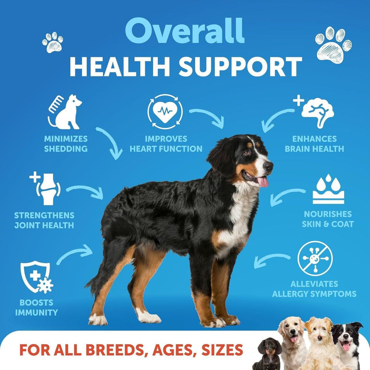 Omega-3 Fish Oil for Dogs - Skin and Coat Support Liquid Supplement - 237 ml - görsel 2