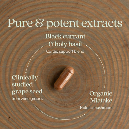 New Chapter Blood Pressure Supplement Take Care