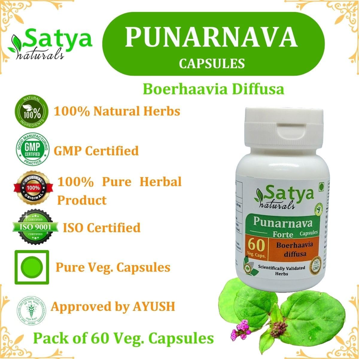 Punarnava Forte Capsule 500 mg - Ayurvedic Herbal Supplement (2 Bottles of 60 Capsules) - görsel 7