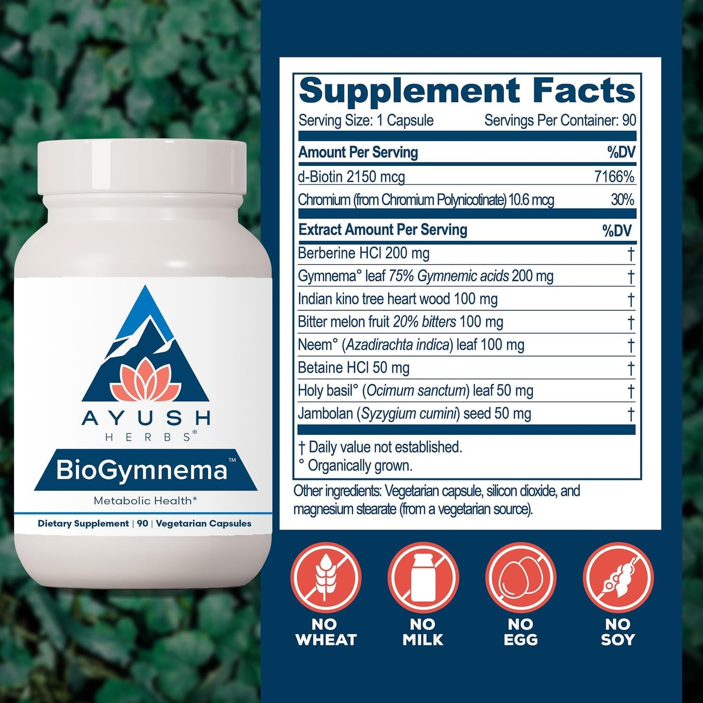 Ayush Herbs BioGymnema - Metabolic Support Herb Blend - görsel 3