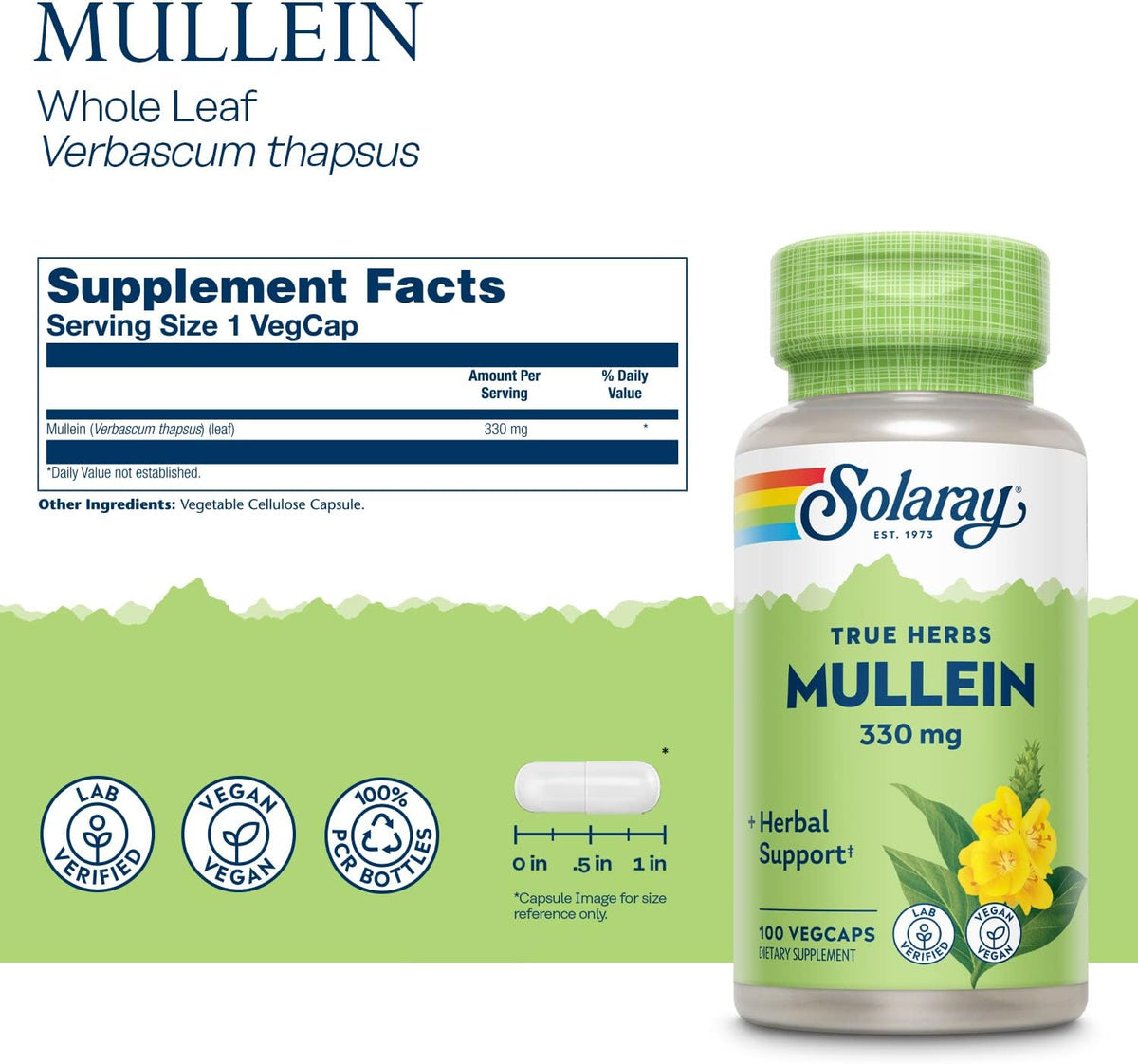 SOLARAY Mullein Leaf 330mg Vegan Capsules - Traditional Support for Respiratory and Bronchial Health (Pack of 2, 100 Capsules) - görsel 2