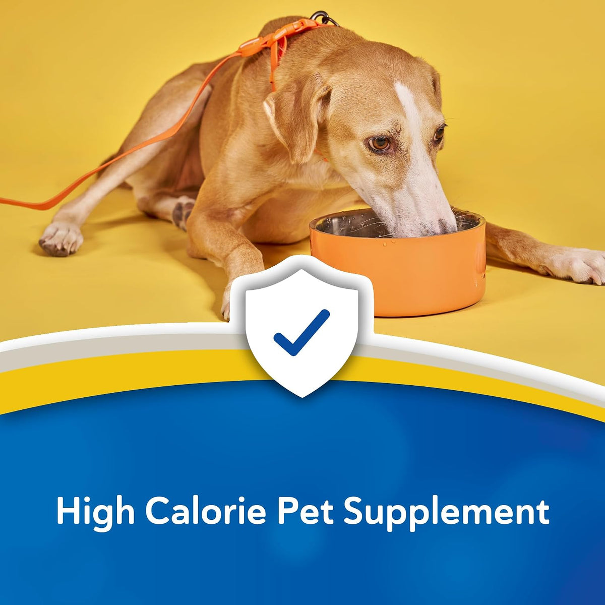 Doc Roy’s Forti Cal High Calorie Nutritional Supplement for Dogs and Cats, Roast Beef & Liver Flavour, 454g Granules - görsel 4