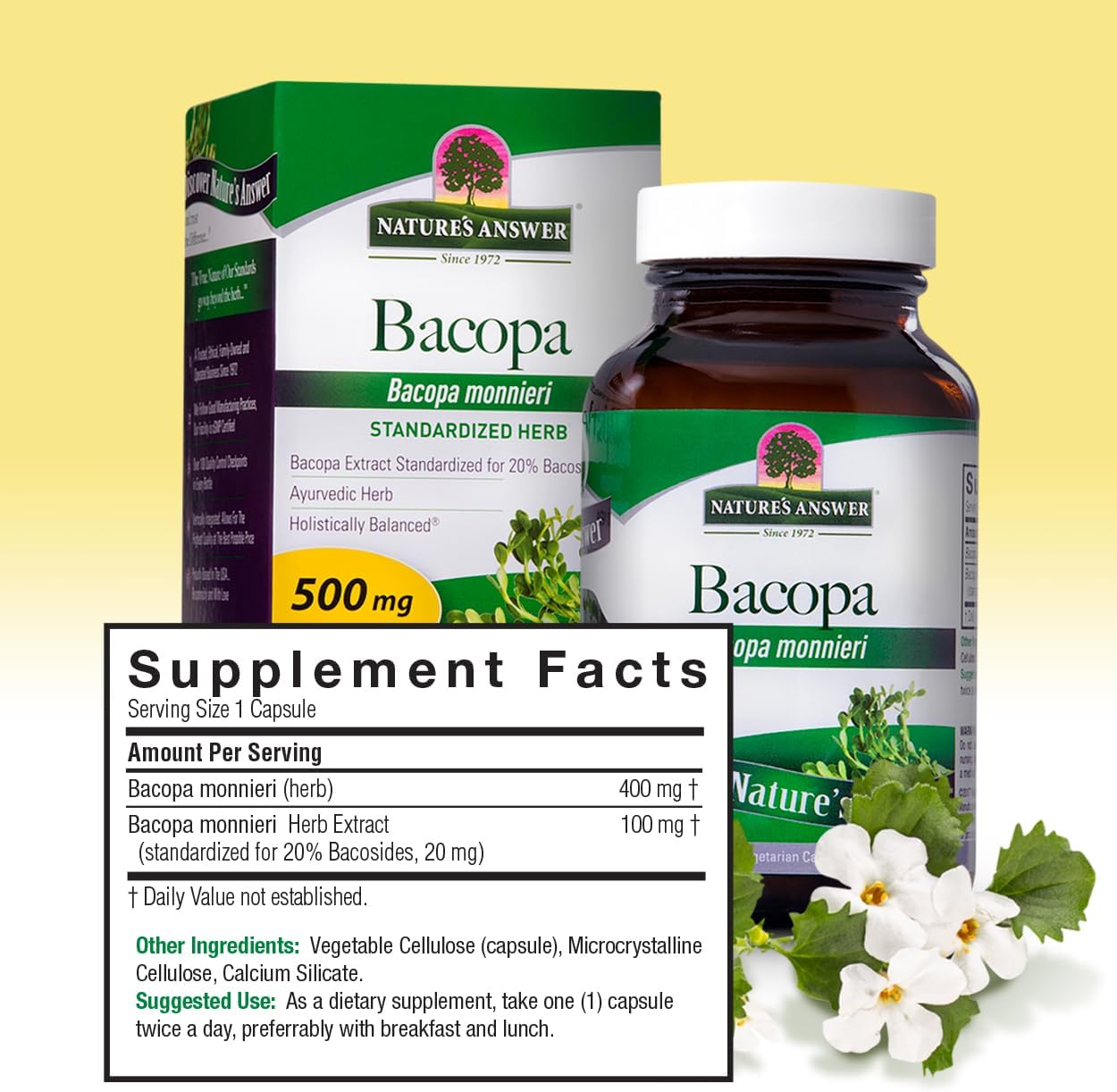Nature's Answer Bacopa Monnieri – 500mg (90 Capsules) - görsel 3