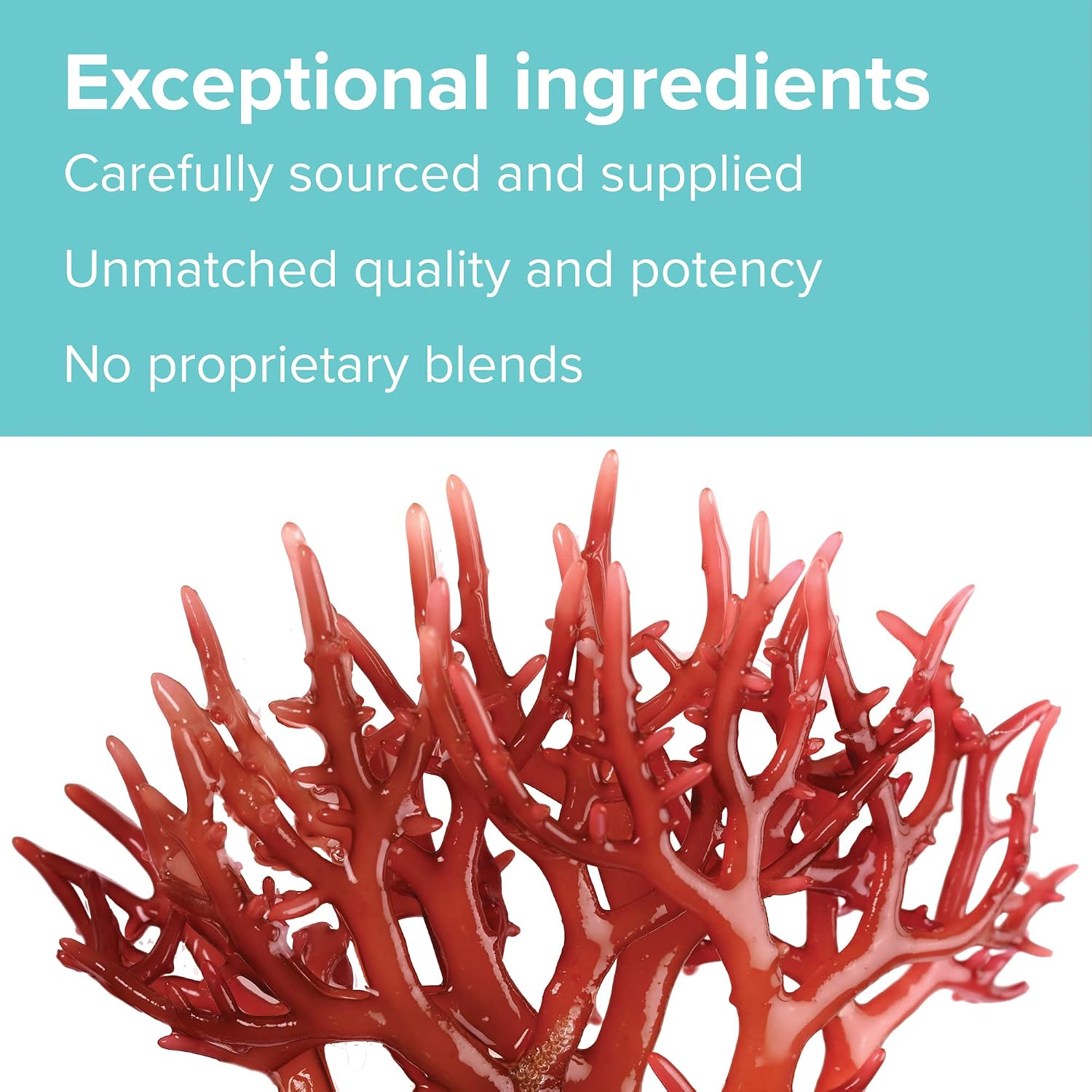 Vibrant Health Gigartina Red Marine Algae – Plant-Based Immune Support - görsel 9