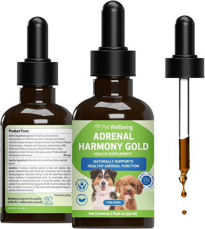Pet Wellbeing Adrenal Harmony Gold for Dogs - Supports Adrenal Function & Normal Cortisol Levels with Ashwagandha & Bacopa - Vet-Formulated & Quality Assured - 60 ml Liquid Formula