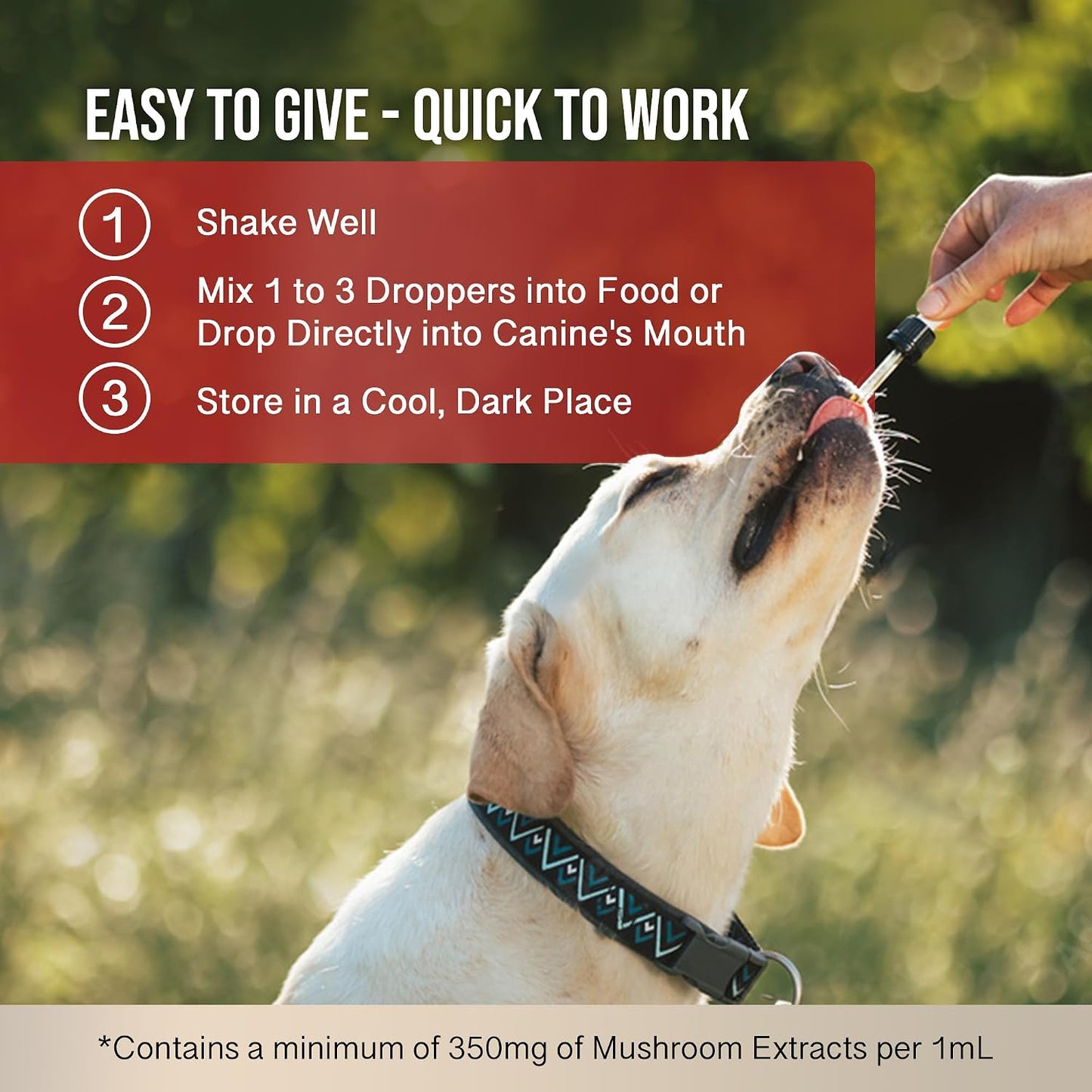 MycoDog Vitality - 20-in-1 Mushroom & Adaptogen Supplement for Dogs - Immune Health, Senior Dogs & Daily Wellness Support - Turkey Tail Mushroom for Dogs, Reishi - görsel 6