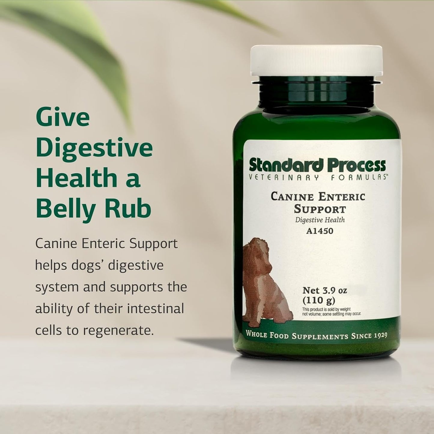 Standard Process Canine Enteric Support - Digestive System Support for Dogs - Nutritional Dog Supplement for Gut Health - Canine Supplement Formula to Aid Healthy Digestion - 110 g - görsel 3