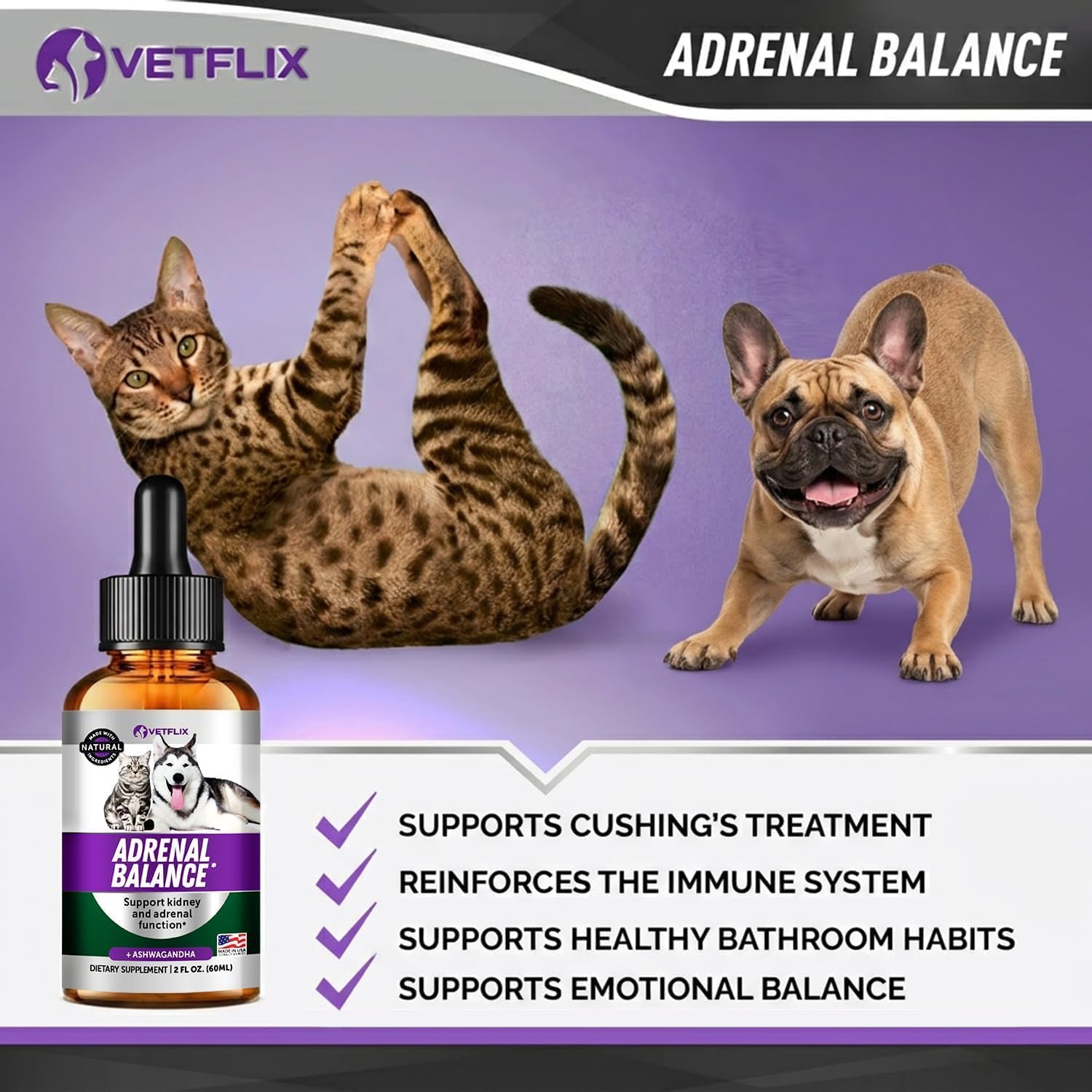 Adrenal Support Liquid Supplement for Dogs, Cats, Puppies and Kittens, 60 ml - görsel 5