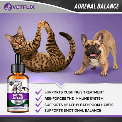 Adrenal Support Liquid Supplement for Dogs, Cats, Puppies and Kittens, 60 ml