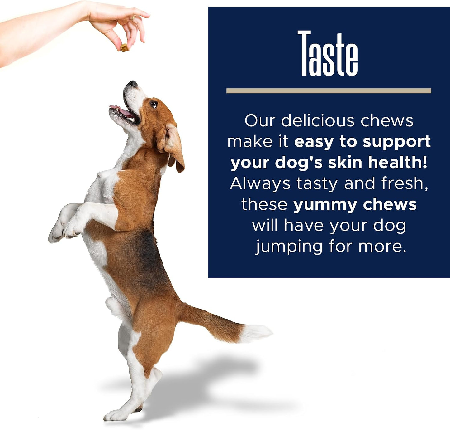 Healthy Pup Dog Fish Oil Supplements - 180 Chews - görsel 6