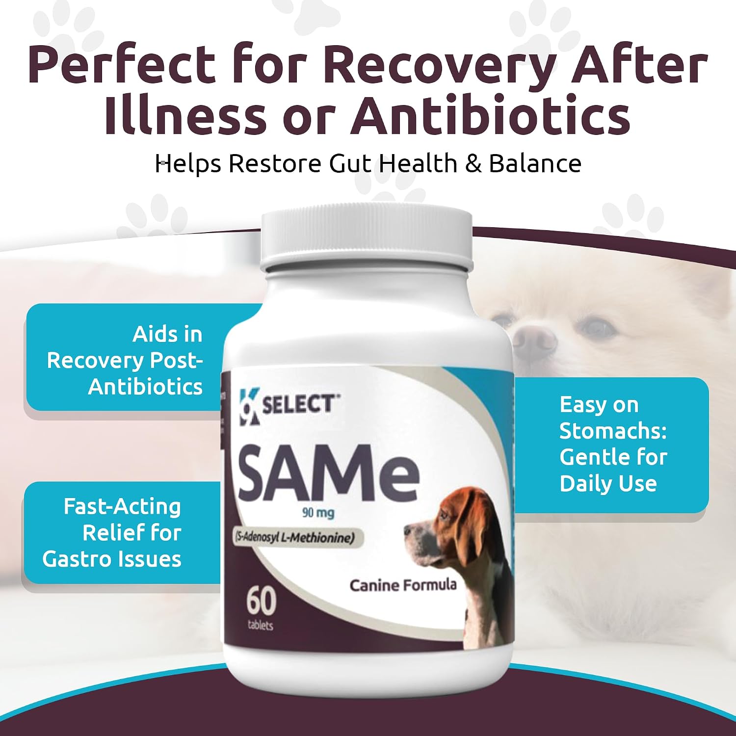 K9 Select Probiotics for Dogs with Inulin – Digestive Health Support (90 Tablets) - görsel 4