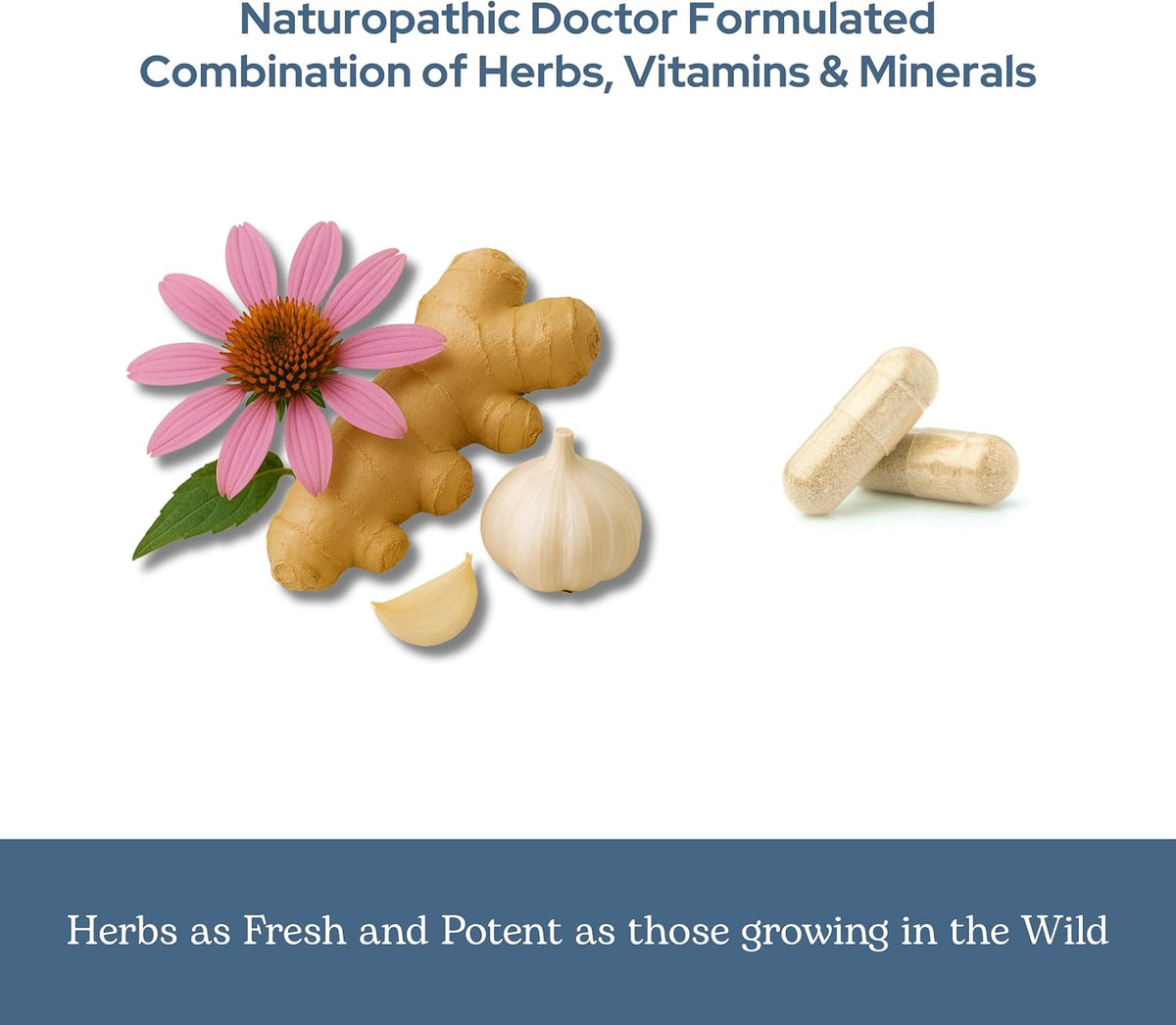 Eclectic Herb Organic Vitabiotic Capsules - Immune Support Herbal Multivitamin - 750 mg, 150 Capsules - görsel 6