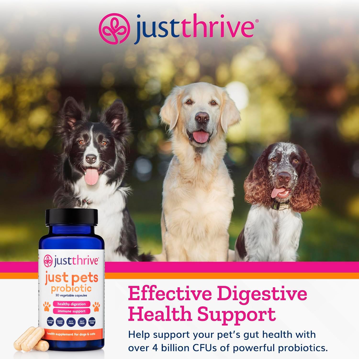 Just Thrive Just Pets Probiotic - Daily Digestive Probiotics for Dogs and Cats - 4 Billion CFUs, 30 Capsules - görsel 4