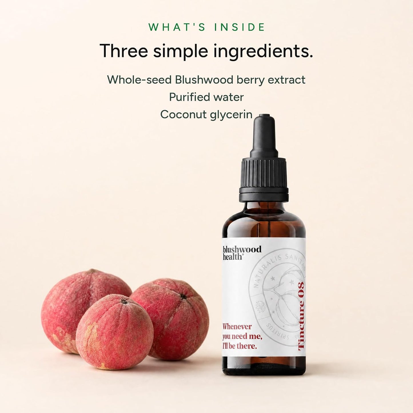 Blushwood Berry Extract Tincture — 3-Pack (150ml Total, 500mg per Serving) - görsel 3