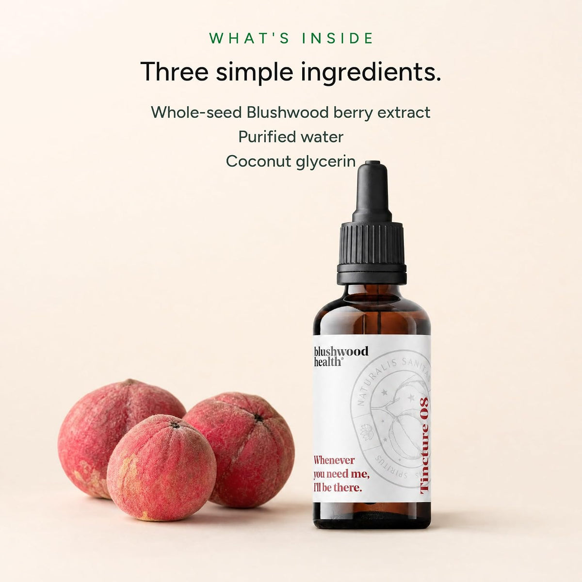Blushwood Berry Extract Tincture — 3-Pack (150ml Total, 500mg per Serving) - görsel 3