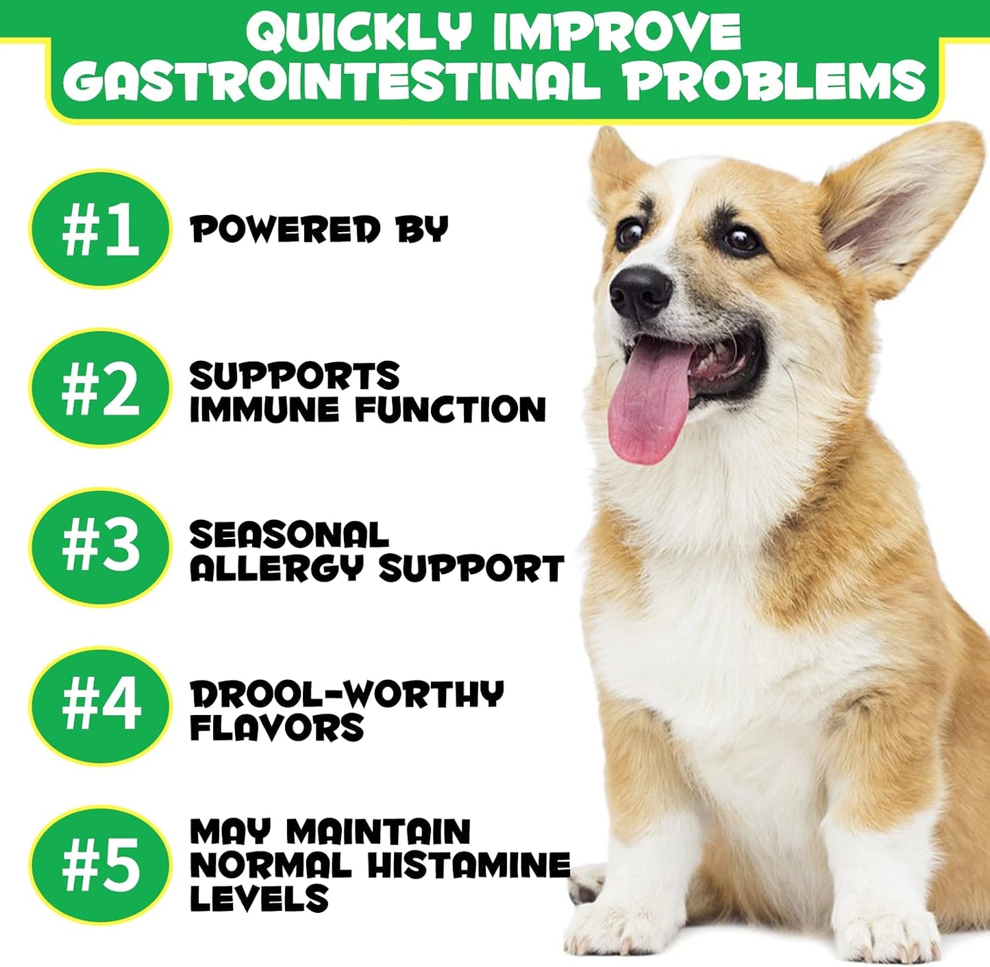 Oimmal Probiotics for Dogs Digestive Health - 120 Soft Chews with Omega-3 & 6, Vitamins, Digestive Enzymes - görsel 2