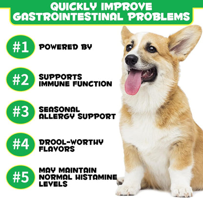 Oimmal Probiotics for Dogs Digestive Health - 120 Soft Chews with Omega-3 & 6, Vitamins, Digestive Enzymes