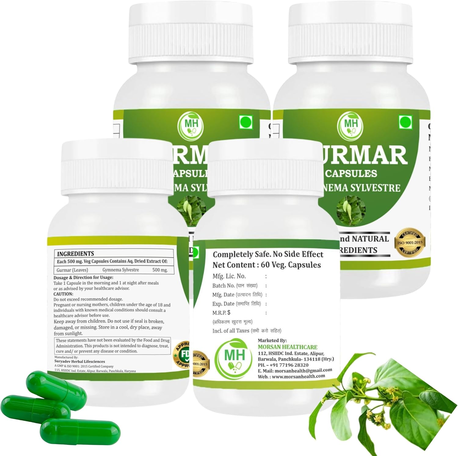 Morsan Health care Gurmar (Gymnema sylvestre) 500mg Capsules – 240 Vegan Capsules - görsel 4