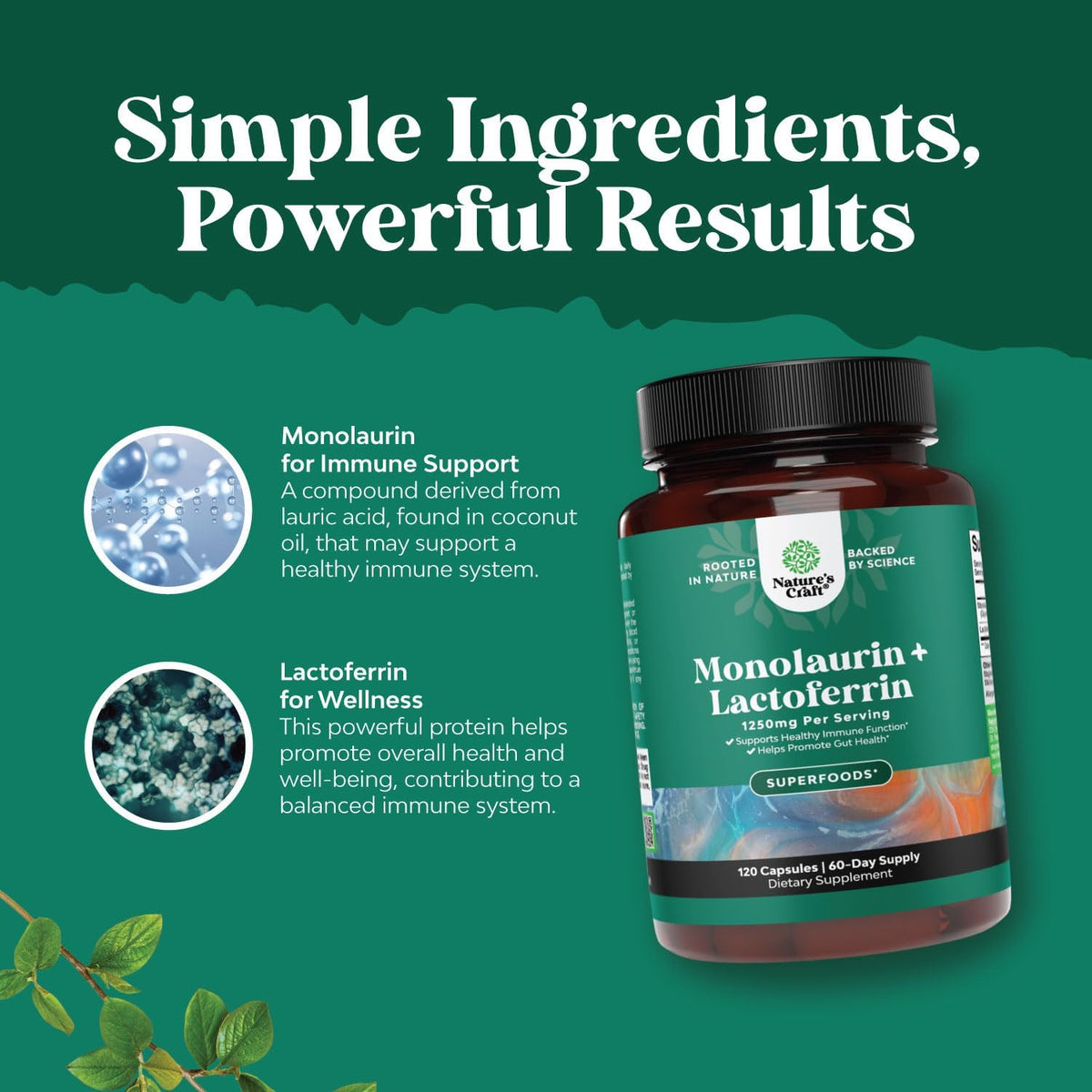 High Strength Lactoferrin & Monolaurin Supplement – Microbiome Digestive Health Immune Support – 250mg Lactoferrin and 1000mg Monolaurin Capsules – Vegetarian 120 Count - görsel 4