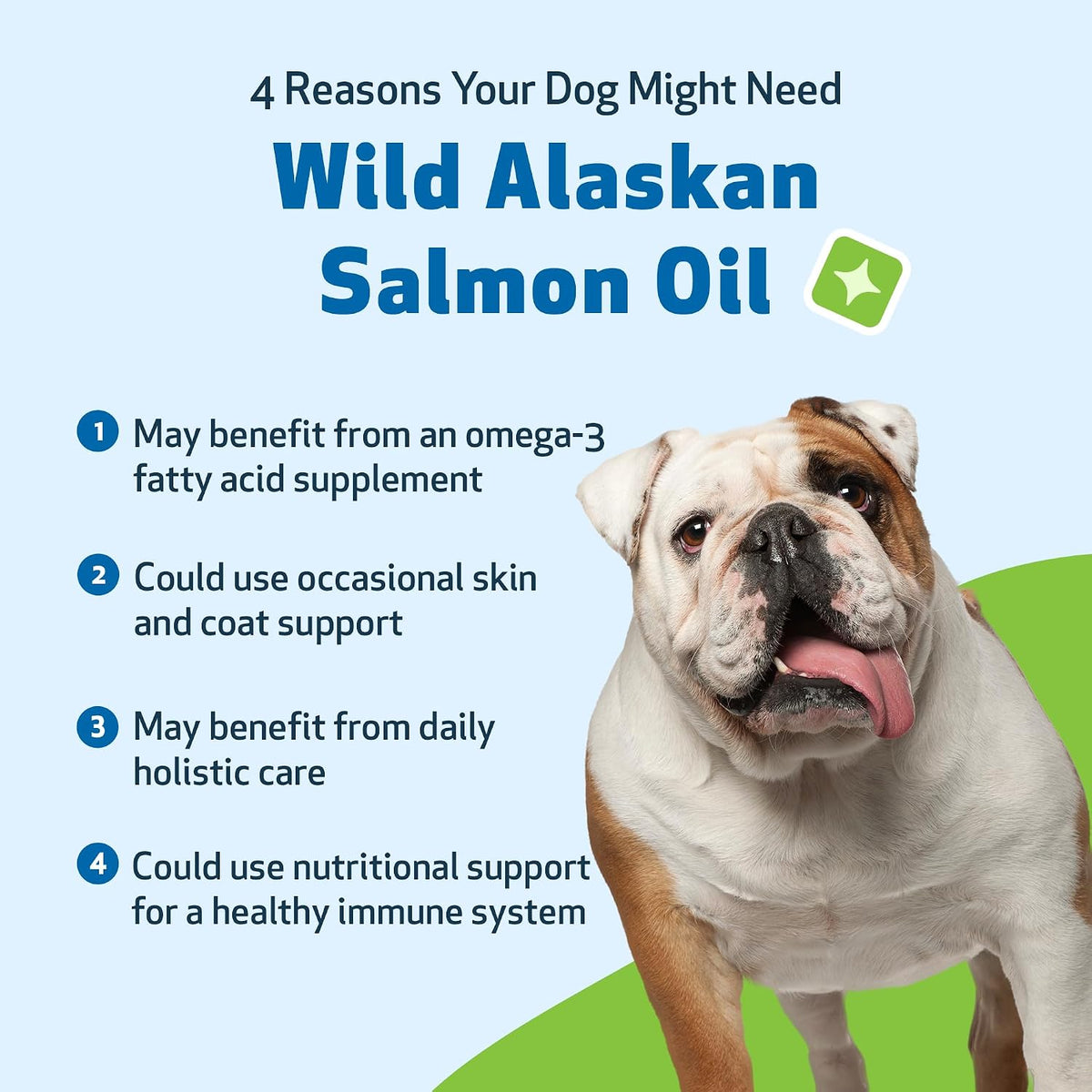 Pet Wellbeing Wild Alaskan Salmon Oil for Dogs - Omega 3 Fish Oil with EPA & DHA, Skin, Coat, Joint & Heart Health - NASC Certified & Vet Formulated - 16 oz Pump Bottle - görsel 3