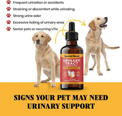 Special Breed Cat & Dog Urinary Tract Infection Treatment – Natural UTI Relief with Cranberry Drops – Kidney & Bladder Support – Helps Incontinence, Frequent Urination, Bladder Stones – Pet Renal Care Drops