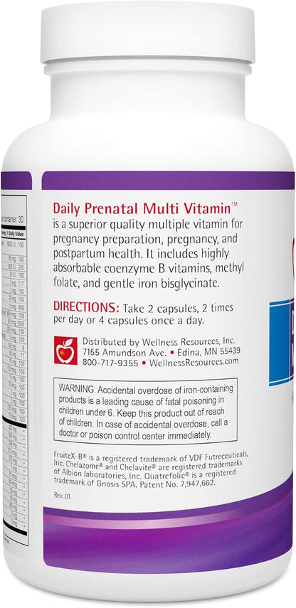 Wellness Resources Daily Pregnancy Multi Vitamin - Methylated Folate Zinc Iron Bisglycinate Choline & Key Nutrients - Natural Pregnancy Postnatal Postpartum Vitamins for Women - 120 Caps