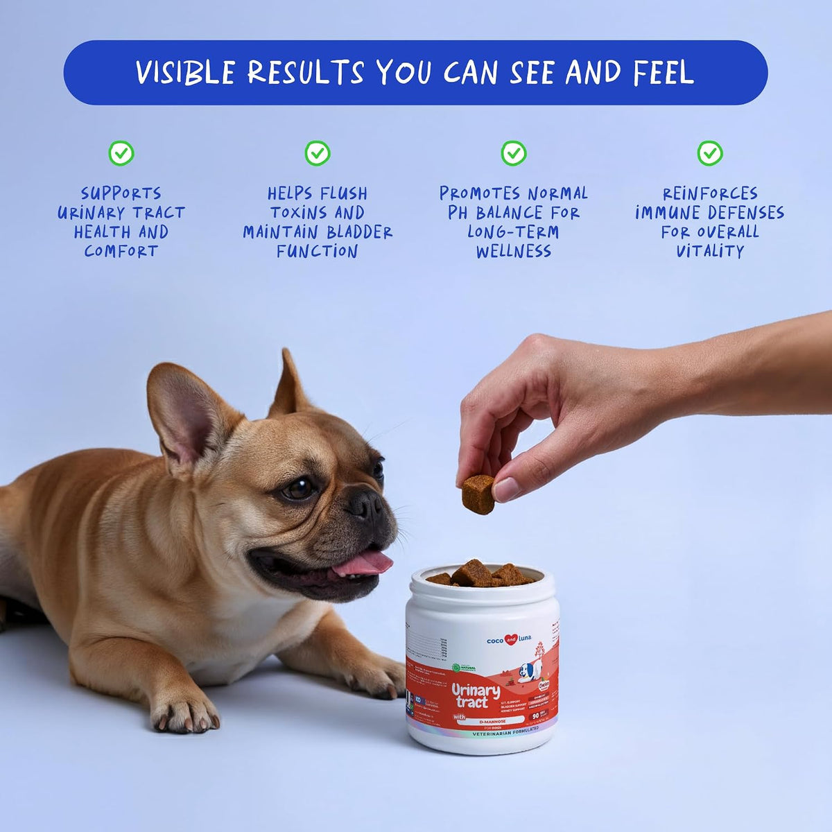 Cranberry for Dogs 90 Soft Chews - Urinary Tract & Bladder Support - görsel 3