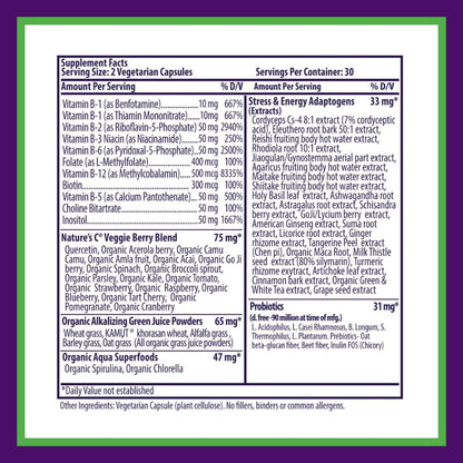 Paradise Herbs Earth's Blend B-Complex - Methylated B Vitamins with Superfoods, 60 Capsules