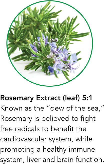 Botanic Choice Rosemary Leaf Liquid Extract – Alcohol-Free, Gluten-Free – Fast Acting Supplement Drops – 30 ml