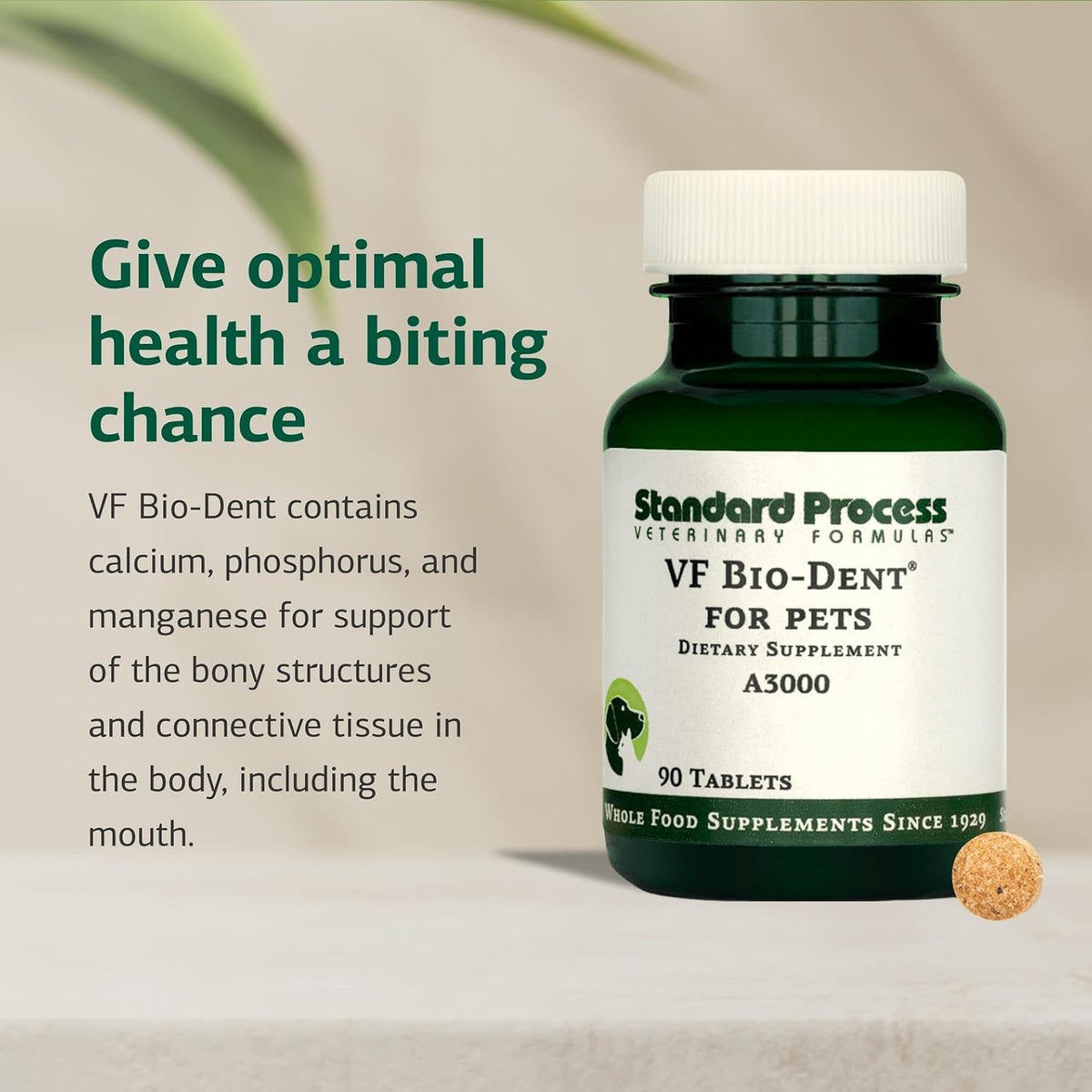 Standard Process VF Bio-Dent for Pets – Bone Growth & Healthy Tissue Support – Oral Health Supplement for Cats & Dogs – 90 Tablets - görsel 3