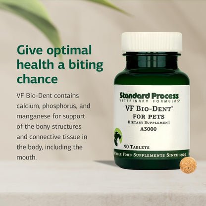 Standard Process VF Bio-Dent for Pets – Bone Growth & Healthy Tissue Support – Oral Health Supplement for Cats & Dogs – 90 Tablets