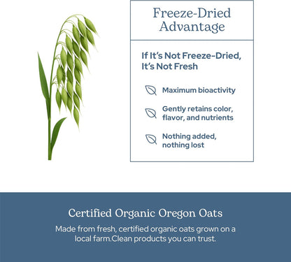 Organic Oats Capsules | Milky Green Oats Avena Sativa for Nervous System Support