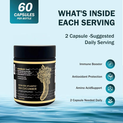 Nova Sea Atlantic Sea Cucumber Supplement – Wild Caught, 60 Capsules