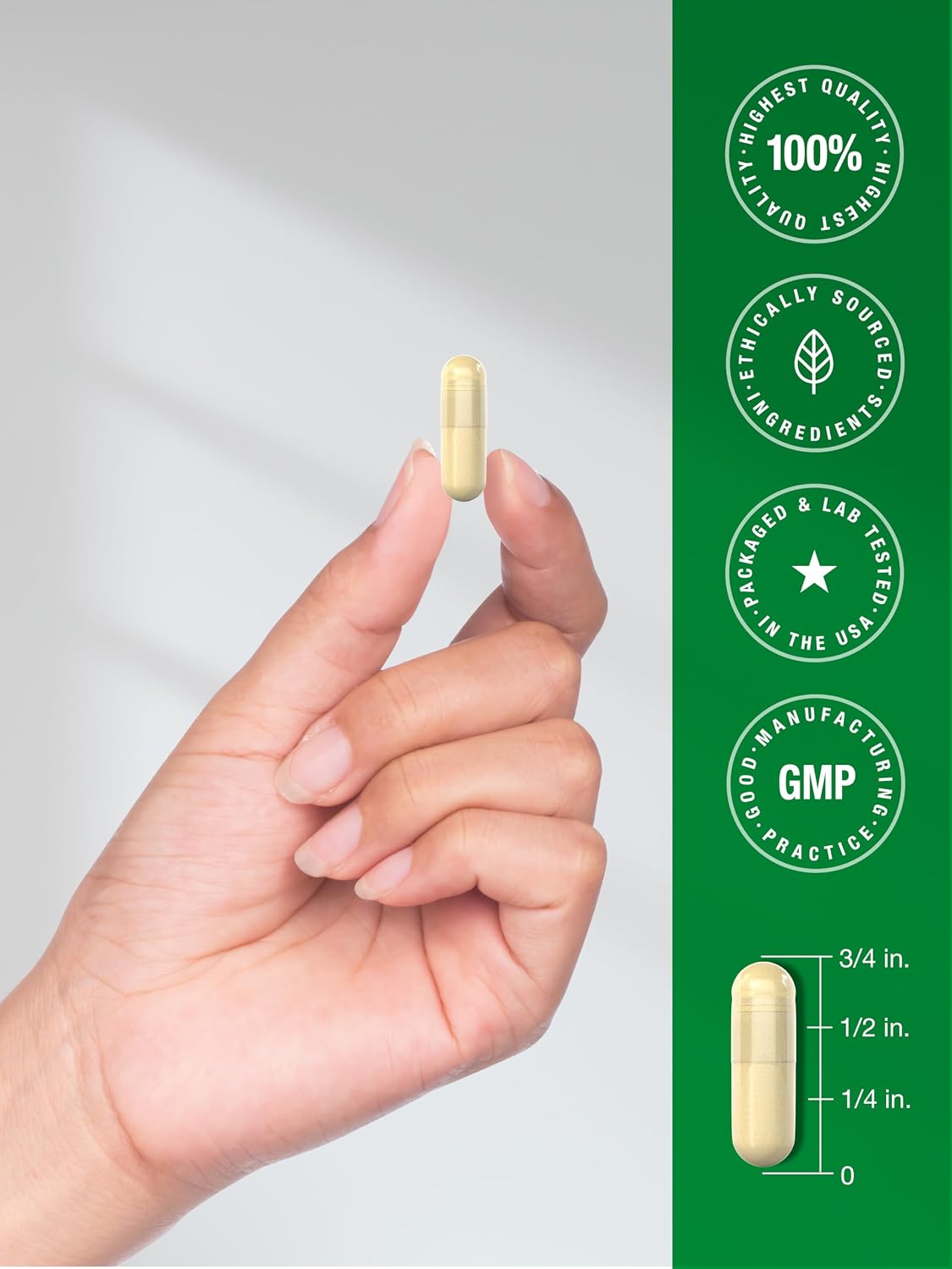 Horbäach Turkey Tail Mushroom Capsules | 120 Capsules | Non-GMO & Gluten-free Extract - görsel 7