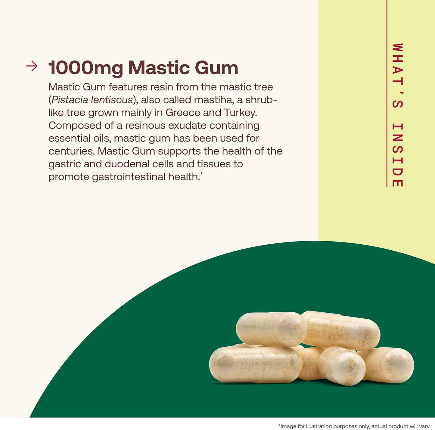 Jarrow Formulae Mastic Gum 1000 mg – 60 Vegetarian Capsules - görsel 3