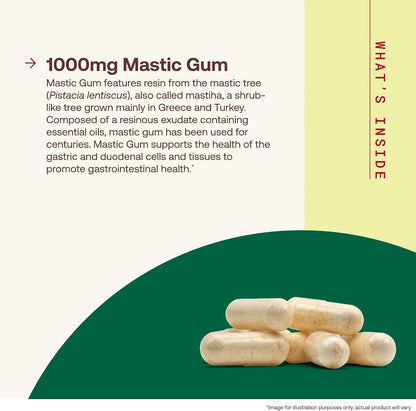 Jarrow Formulae Mastic Gum 1000 mg – 60 Vegetarian Capsules
