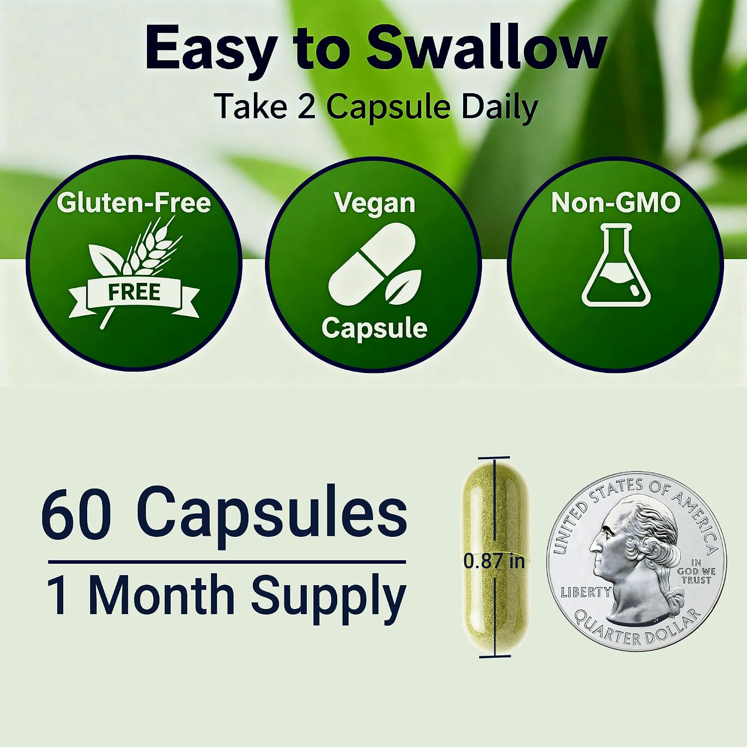 Sea Moss Black Seed Oil Ashwagandha Ginger - Advanced Irish Sea Moss Capsules All-in-One Supplement - görsel 4