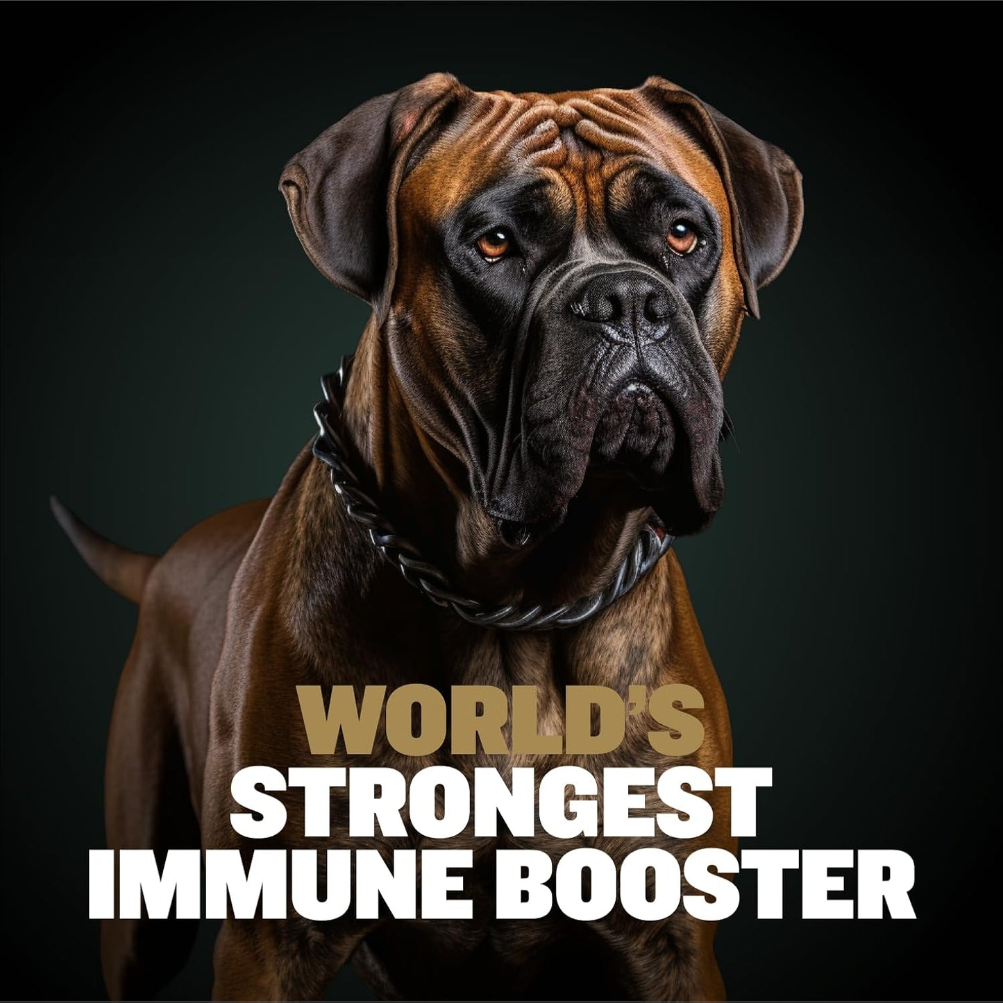 Bully Max 11-in-1 Dog Muscle Builder Power Chews - görsel 3