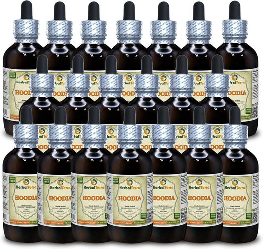 HerbalTerra Hoodia Gordonii Tincture – 4 fl oz (120 ml) (20-Pack)