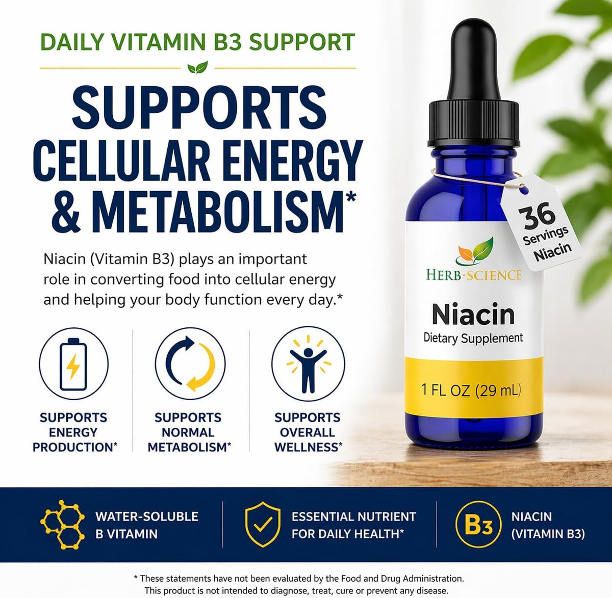 Herb-Science Liquid Vitamin B3 (Niacin) Drops, 30 ml (36 Servings) – Alcohol-Free Niacin Supplement for Energy-Yielding Metabolism Support - görsel 3