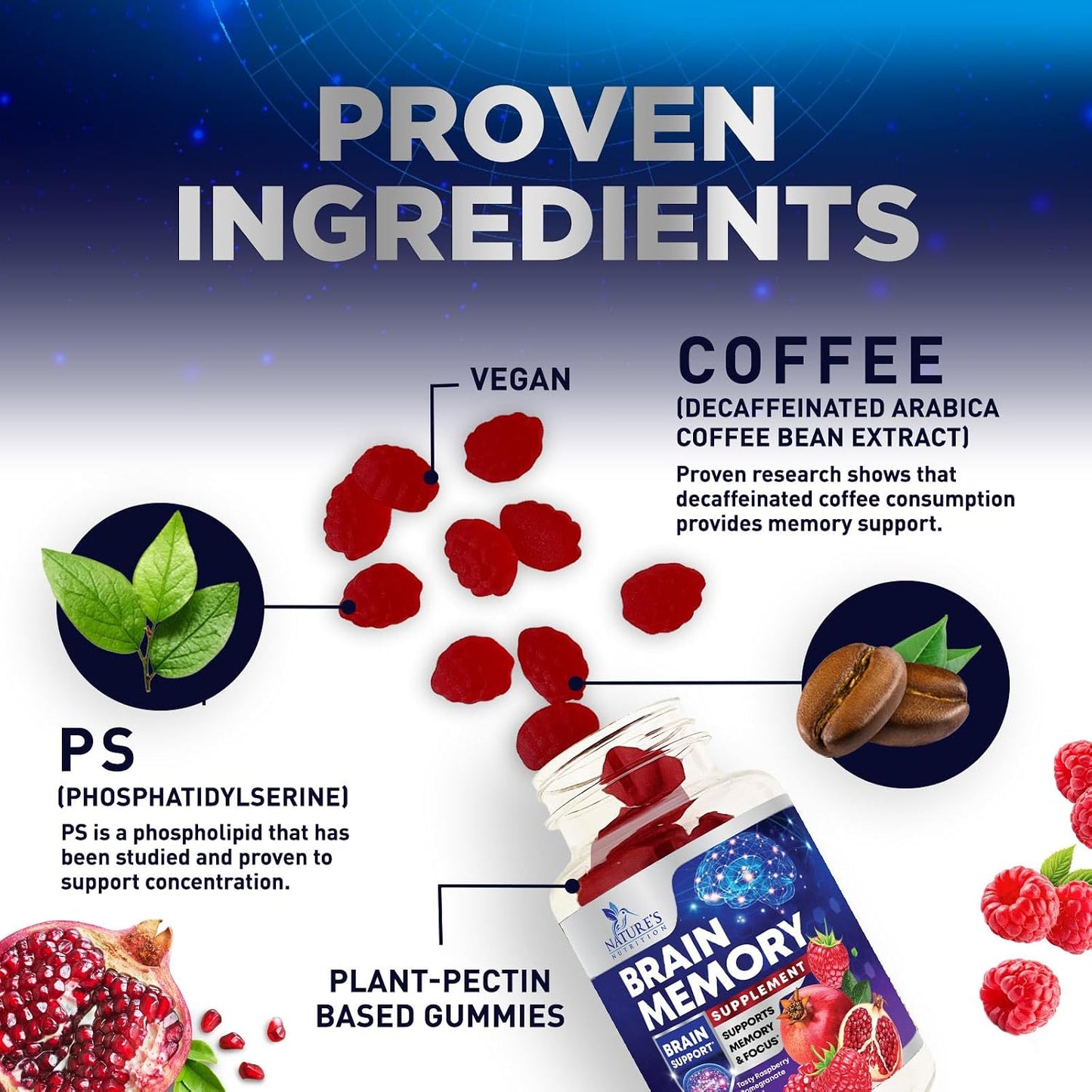 Nature's Nutrition Brain Gummies for Memory and Focus – 3X Strength with B6, B12, Phosphatidylserine – 60 Gummies - görsel 3