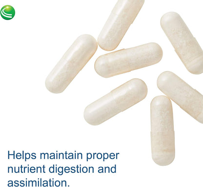 Nutra BioGenesis PanZyme – Betaine HCl with Pepsin, Pancreatin, Lipase and Protease – 180 Capsules