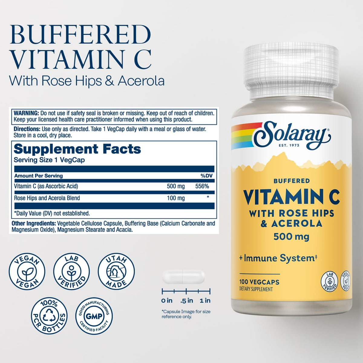 SOLARAY Buffered Vitamin C 500mg plus Rose Hips and Acerola - Immune Support Supplement - 100 VegCaps - görsel 2