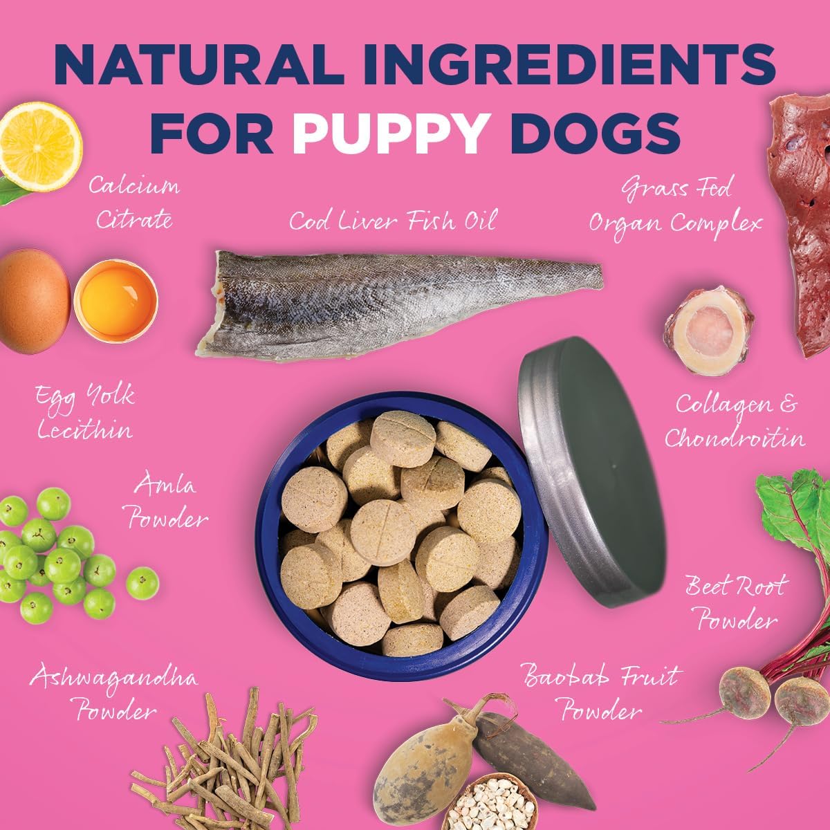 Vetericyn All-in-1 Multifunctional Puppy Supplement - görsel 4