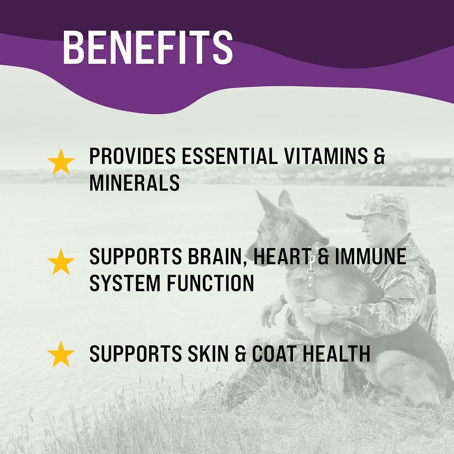 Dr. Boe's Veterinary Essentials MultiPup Vitamin Chews - görsel 6